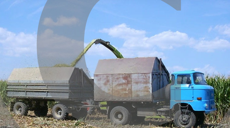 IFA LKW W50 Varianten