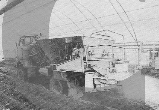 IFA LKW W50 Varianten