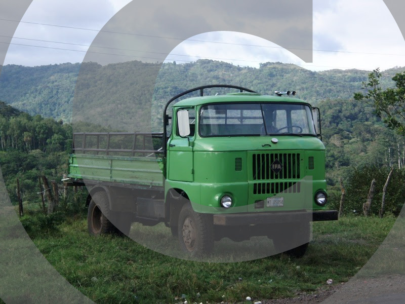 IFA LKW W50 Varianten