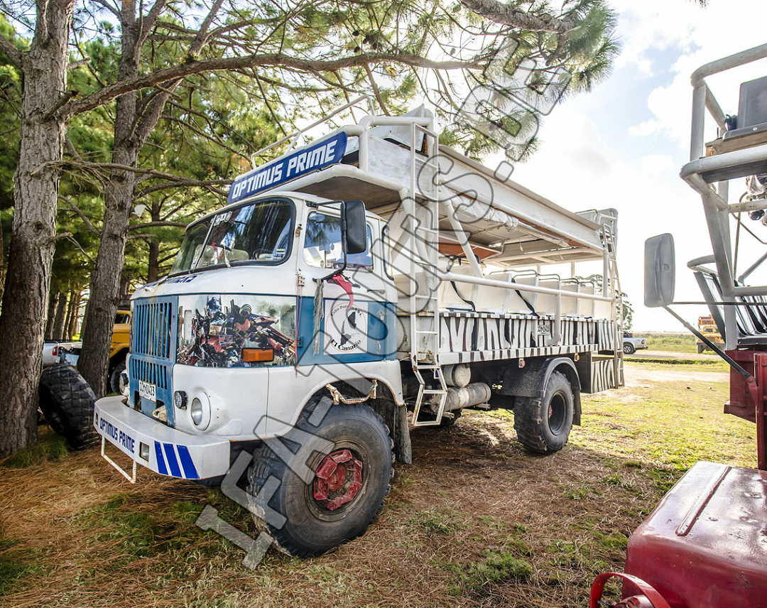 IFA LKW W50 in Uruguay