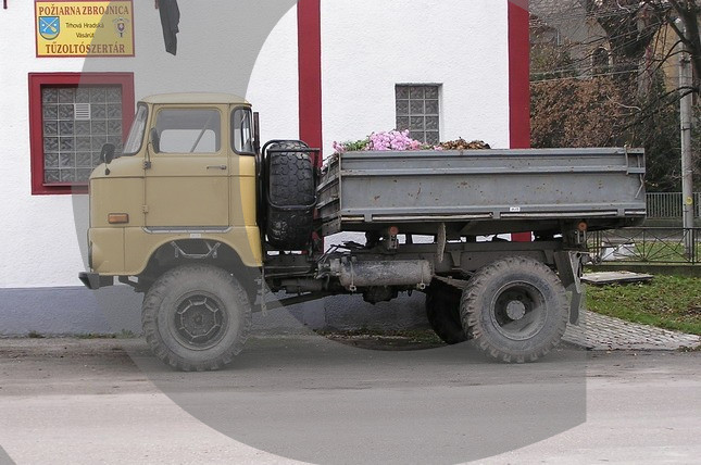IFA LKW W50 Varianten