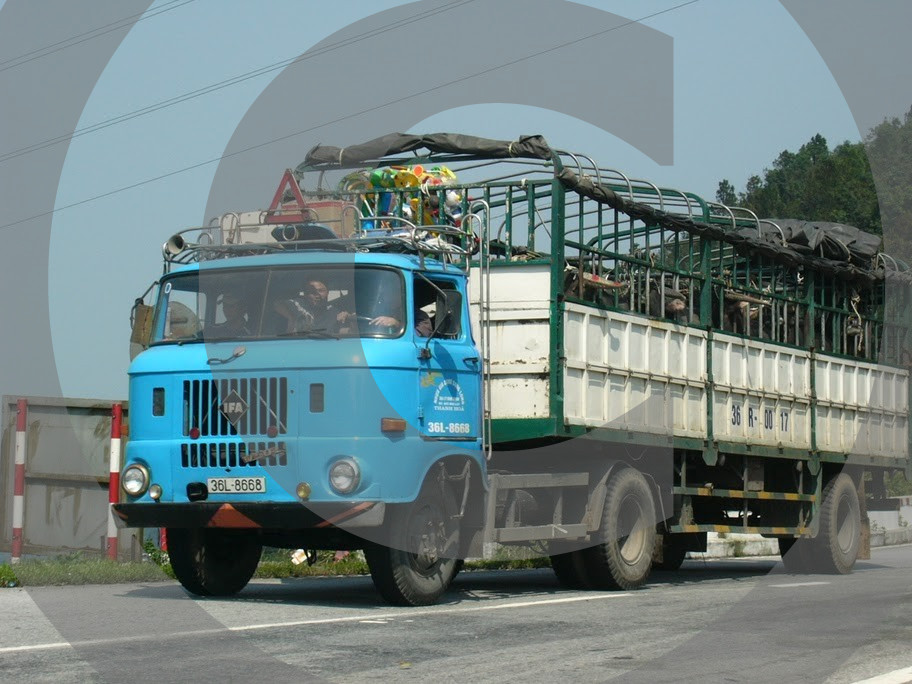 IFA LKW W50 Varianten