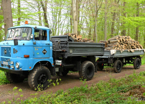 Holztransport im Harz