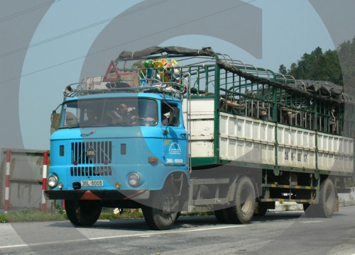 IFA LKW W50 Varianten