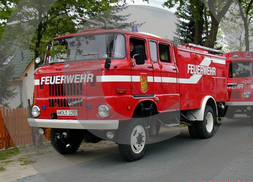 IFA LKW W50 Varianten