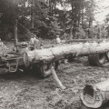 Langholzverladung