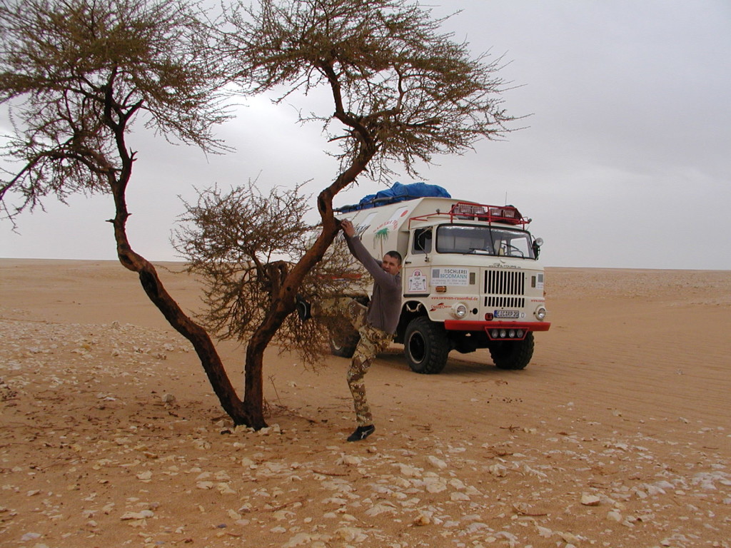 IFA W50 unterwegs in Algerien und der Sahara