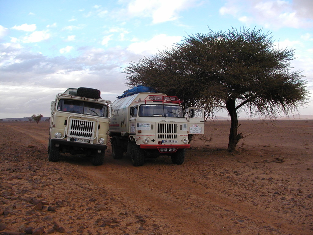 IFA W50 unterwegs in Algerien und der Sahara