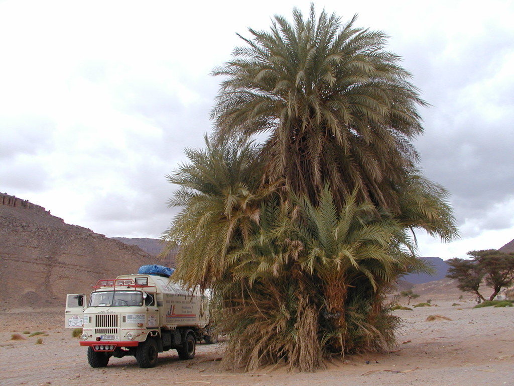 IFA W50 unterwegs in Algerien und der Sahara 