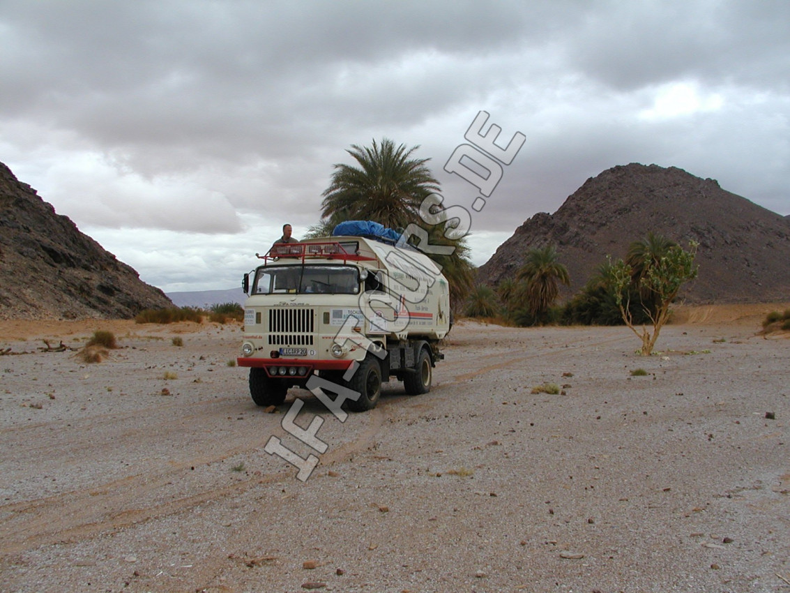 IFA-Tours Saharadurchquerung 2003
