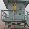 Am Strand von Venice Beach Malibu